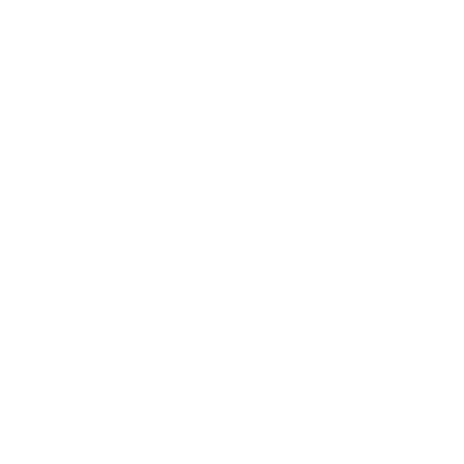 HSE Audit